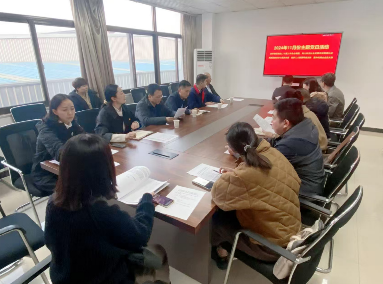 深入學(xué)習(xí)黨的二十屆三中全會(huì)精神，開(kāi)展主題黨日活動(dòng)